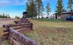 Bryce Canyon Pines